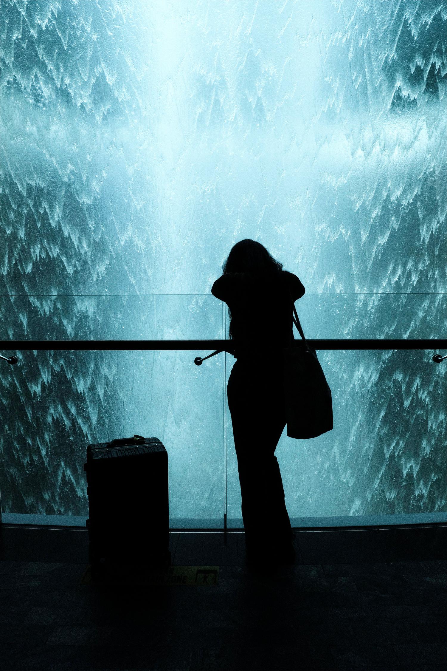The Traveller
