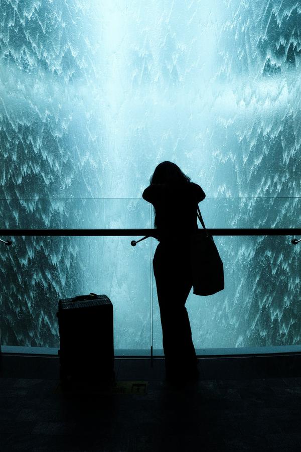 The Traveller